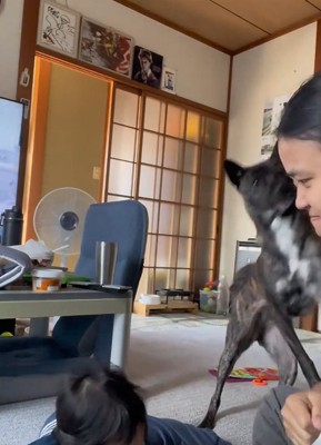 両足で止める犬