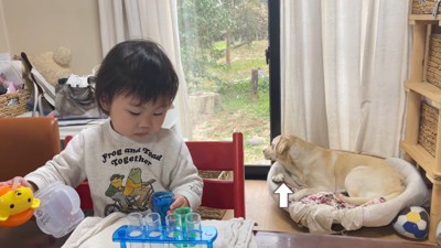 ビーカーをじっと見つめて…