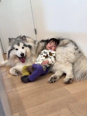 投稿主さんの存在に気付いた