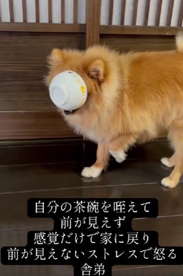 お茶碗がジャストフィット