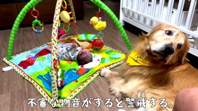 子守りは絶好調…!