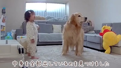 おからちゃんが寄り添います