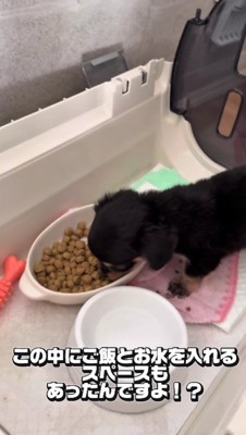 こんなに余裕があったのに…