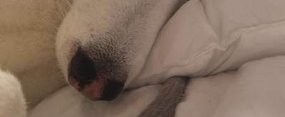 目を覚まして、横を見たら…
