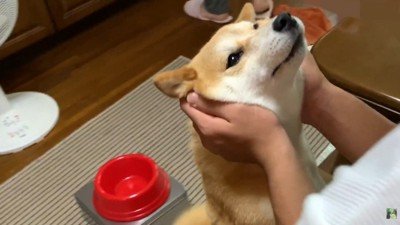 とっても嬉しそう♡