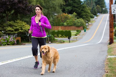 犬と散歩する女性