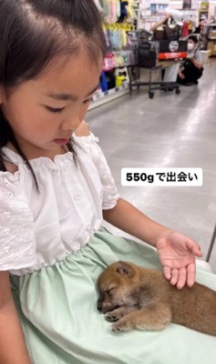 子犬が家にやってきた