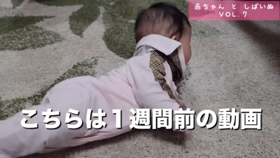 生後半年のひよりちゃん