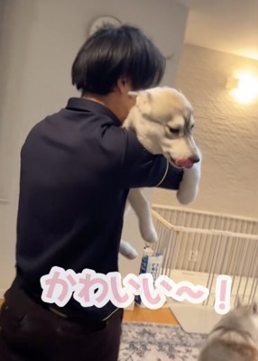 大満足のららちゃん