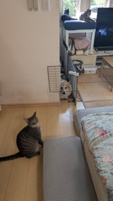 挟まる