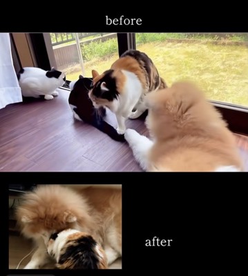 アフターのほっこり感…