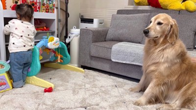 おもちゃ箱をガサコソ