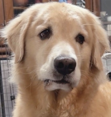 思っていたより