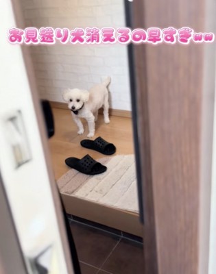 「行ってらっしゃいー」