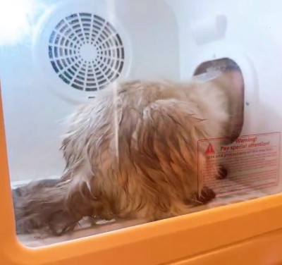 出入口を突破!!