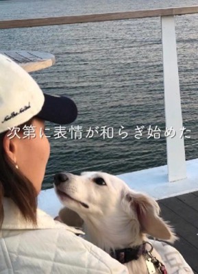 徐々に表情やわらかに