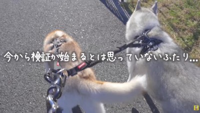 しっかりと変装