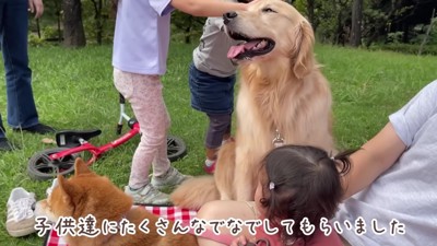 子供たちのナデナデを堪能