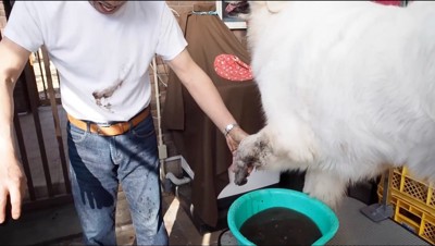 犬が払った泥が服についてしまった男性