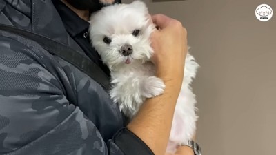 パパさんの帰りを待つナナくん2