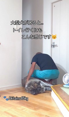 トイレに行きたいパパさんVS虎男くん6