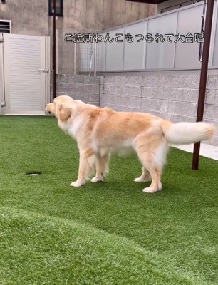 ちょっぴり怖がり！？