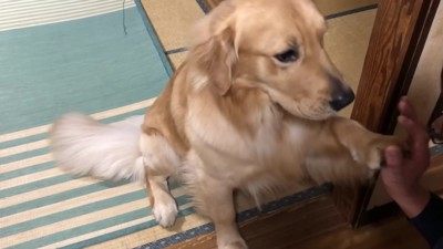 一切無駄のない動き