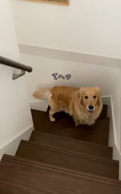 立ち上がるメルちゃん