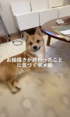 研ぎ澄まされたセンサー