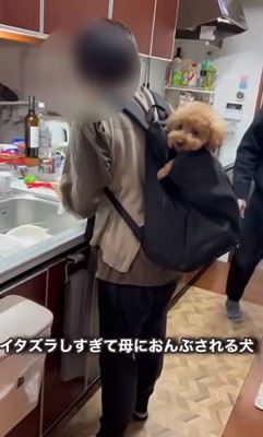 カメラ目線のバッキーくん