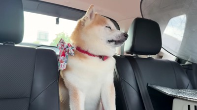 「車の中か…」