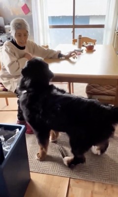 それもちょうだい