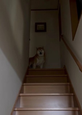 お兄ちゃんの帰宅時