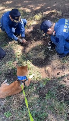 「全員ちゃんと仕事してるな」