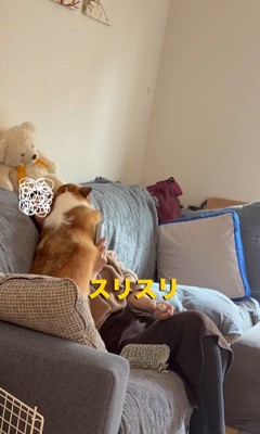 エルモちゃんのおもてなし4