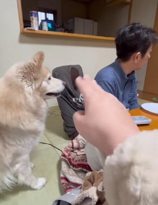 ケンタくんに指示を出すと…