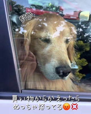 運転席を陣取っていた！！