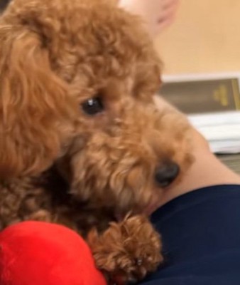 アルくんとの出会い6