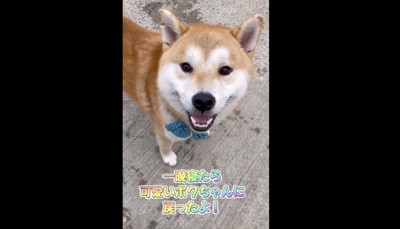 一晩寝たら復活