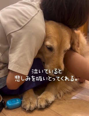 泣いている息子さんときなこちゃん