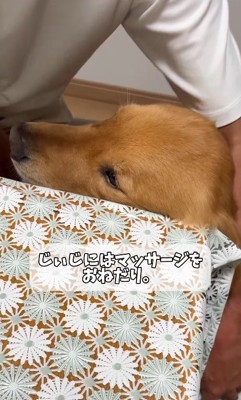 おじいちゃんのマッサージにうっとり
