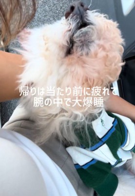 車でスヤスヤ…