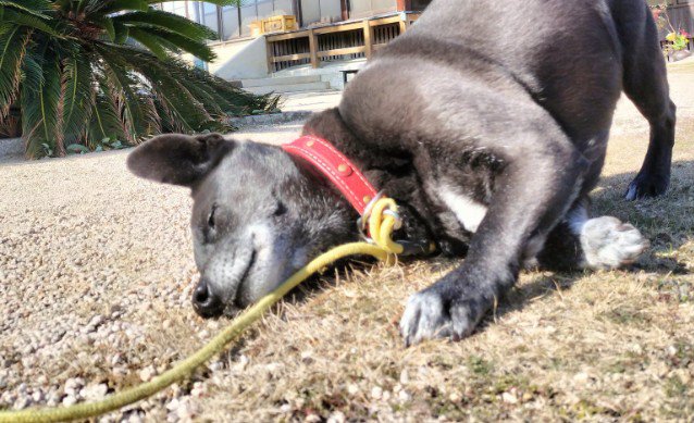 音に耳を澄ませている！？