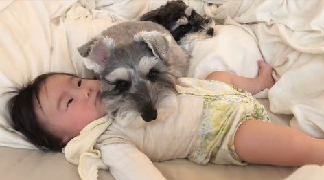 一緒に寝るトトちゃんと女の子4