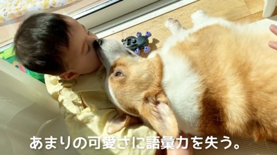 「ちょっと背中借りてるよ」とお鼻でタッチ♪