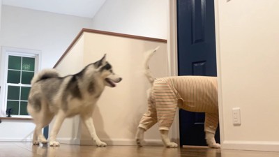 あっという間に寝室へ！！