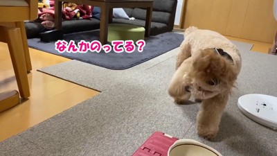 ようやく気付いて…