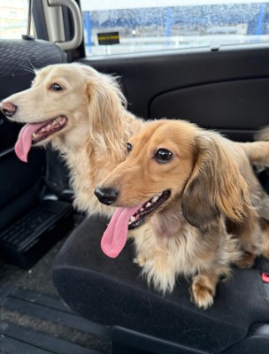 可愛いツーショット♡