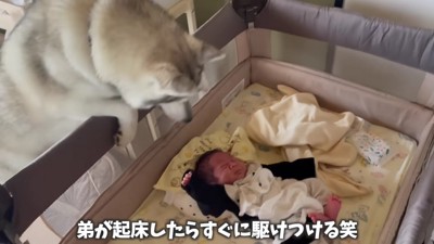 赤ちゃんとの暮らし
