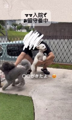 レオくんとサラちゃんの熱烈歓迎5